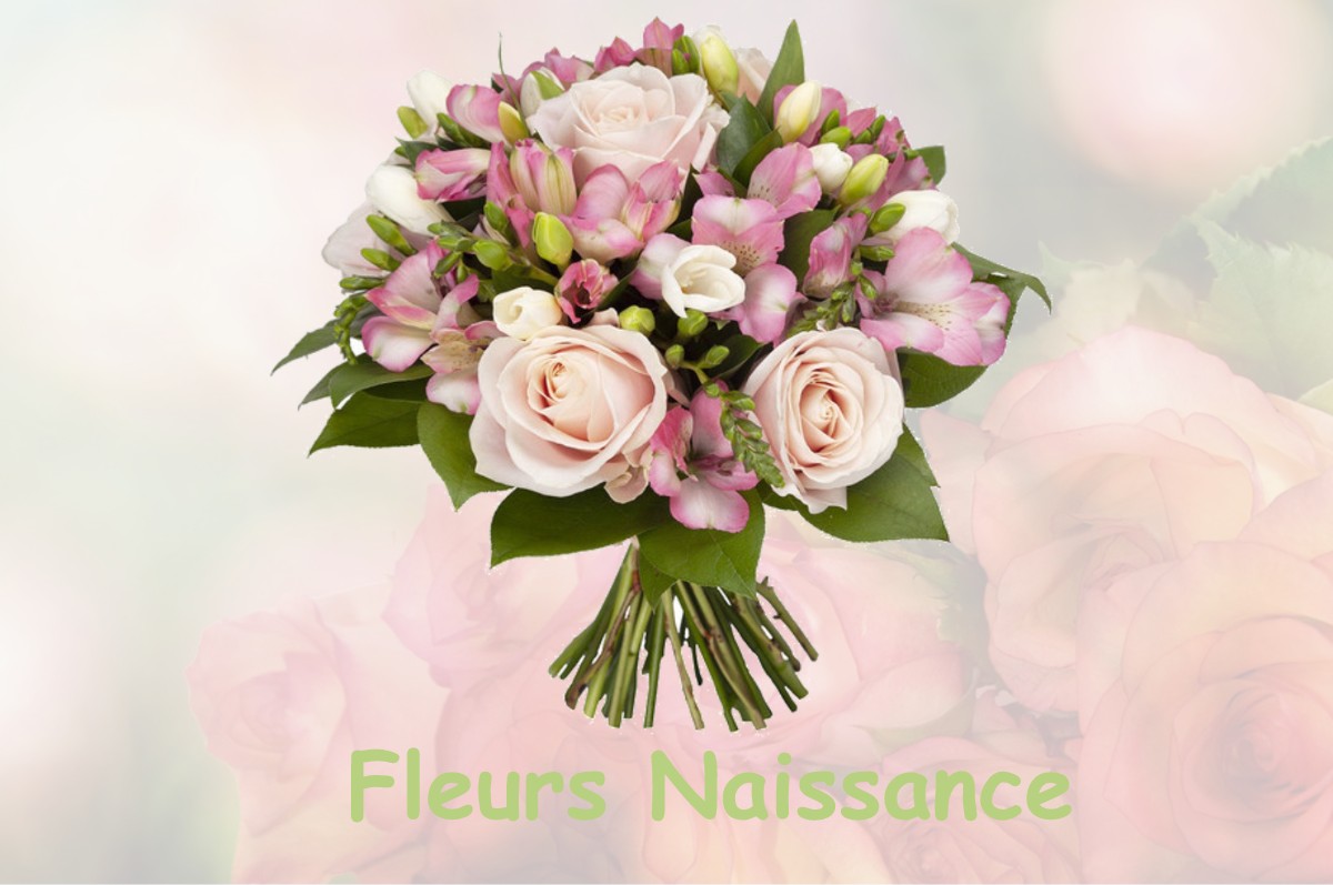 fleurs naissance CIPIERES