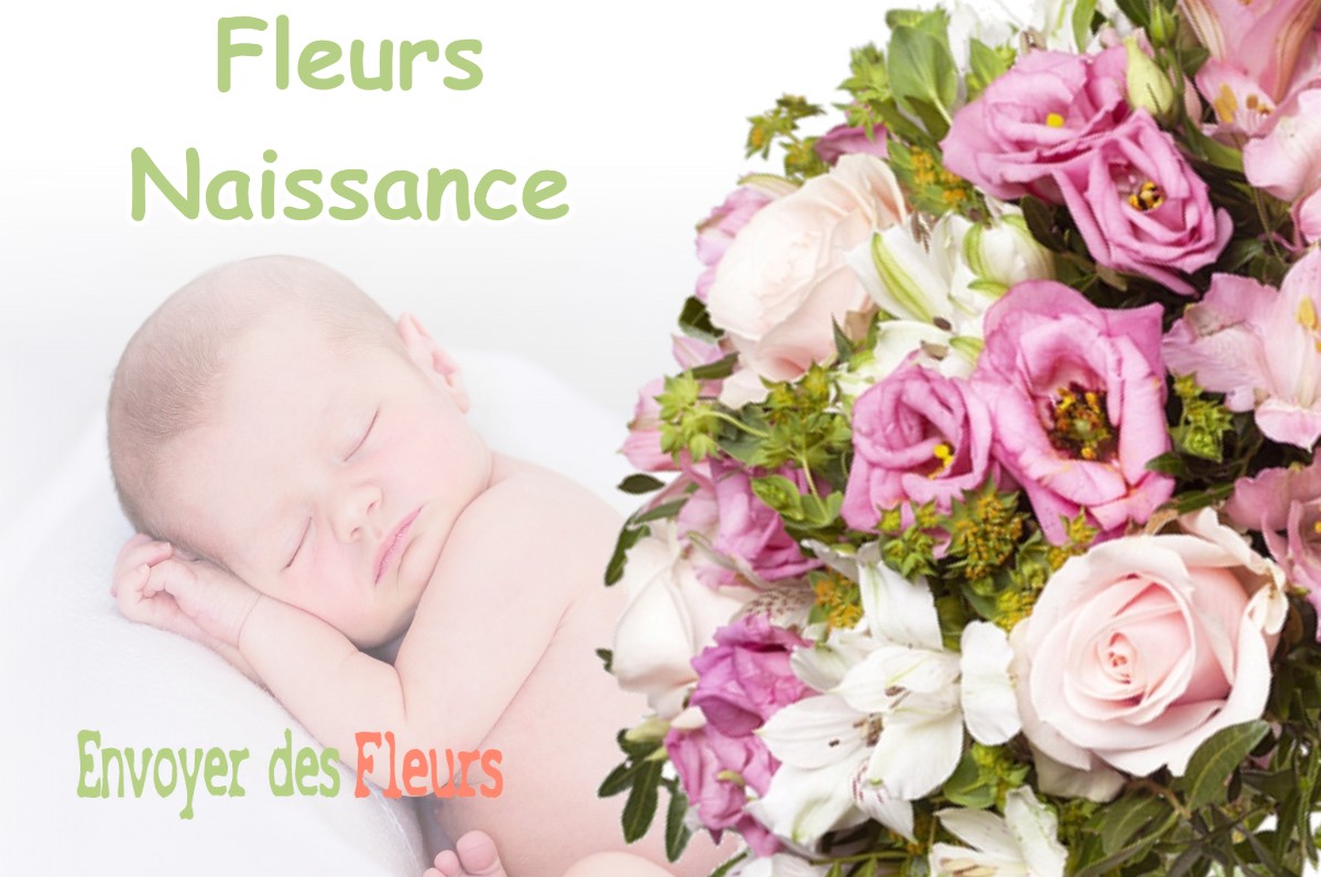 lIVRAISON FLEURS NAISSANCE à CIPIERES